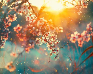 Anunțul ANM! Când vom avea parte de temperaturi de 20 de grade Celsius Anunțul ANM! Când vom avea parte de temperaturi de 20 de grade Celsius