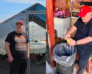 Imagini cu gospodăria lui Florin Călinescu de la Buftea. Are găini, porci, bibilici, dar și o grădină cu legume și o livadă Imagini cu gospodăria lui Florin Călinescu de la Buftea. Are găini, porci, bibilici, dar și o grădină cu legume și o livadă