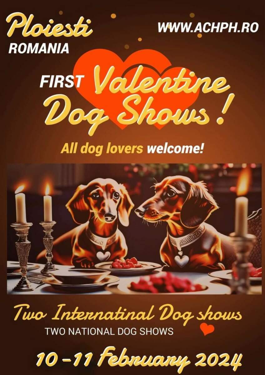 Expoziții canine internaționale și naționale, în acest sfârșit de săptămână, la Ploiești!