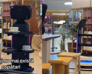 În mult lăudatul Cluj, tinerii sunt înlocuiți cu roboți. Restaurantele au introdus chelneri-robot