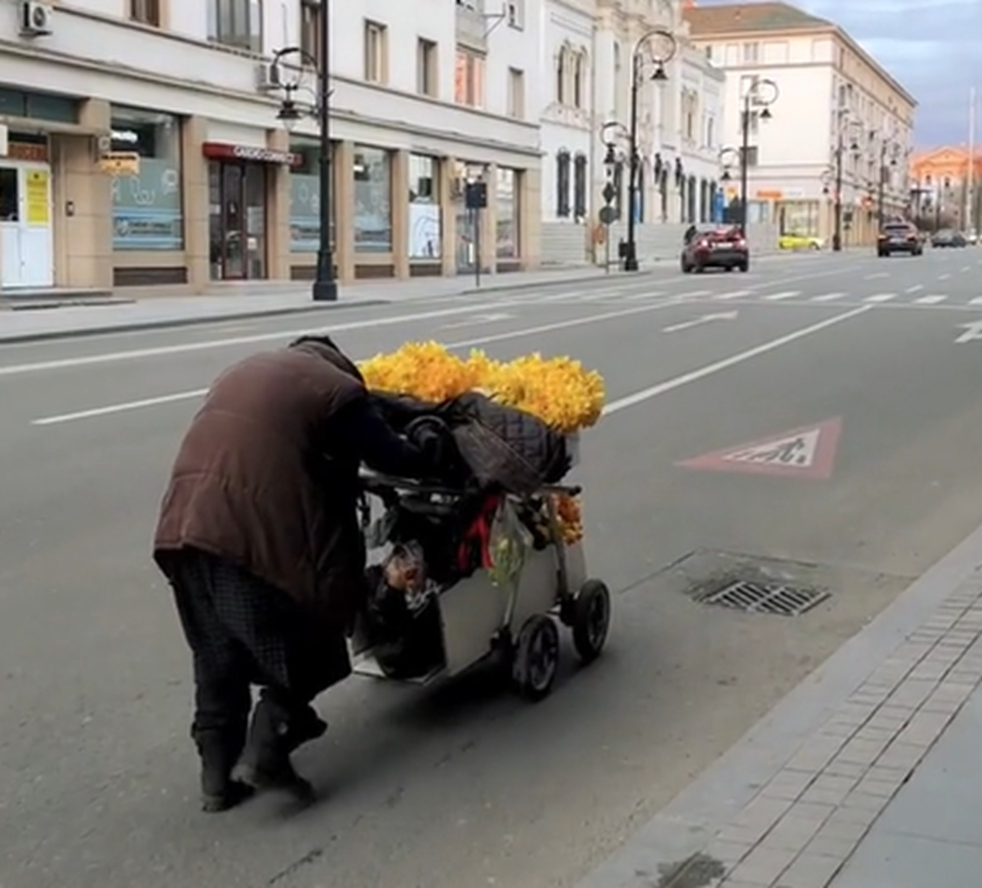 Imaginile care au emoționat întreaga Românie. Bunicuța cu căruciorul de flori din Craiova care de-abia merge, dar muncește pentru un bănuț de pâine Imaginile care au emoționat întreaga Românie. Bunicuța cu căruciorul de flori din Craiova care de-abia merge, dar muncește pentru un bănuț de pâine