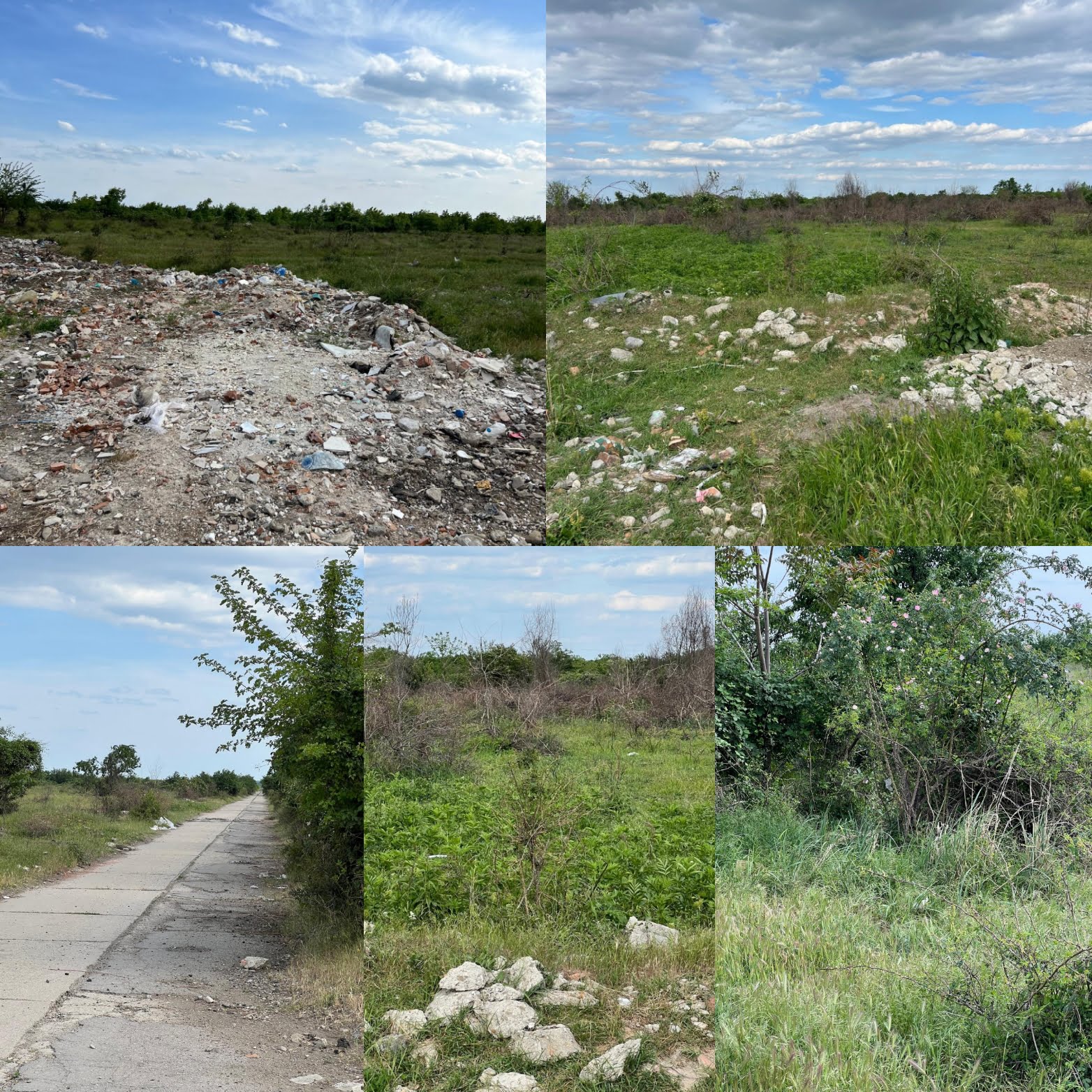 Revolta locuitorilor din Bărcăneşti: Hectare de teren fertil s-au transformat în şerpărie. Consiliul Județean a abandonat investiții importante, inclusiv drumul de legătura cu A3