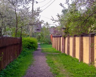 Ce nu vor mai avea voie să facă românii care stau la curte. Interdicția se aplică în curând Ce nu vor mai avea voie să facă românii care stau la curte. Interdicția se aplică în curând