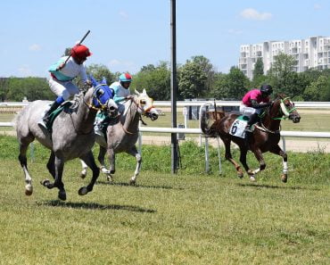 Majoritatea curselor decise pe ultimii metri