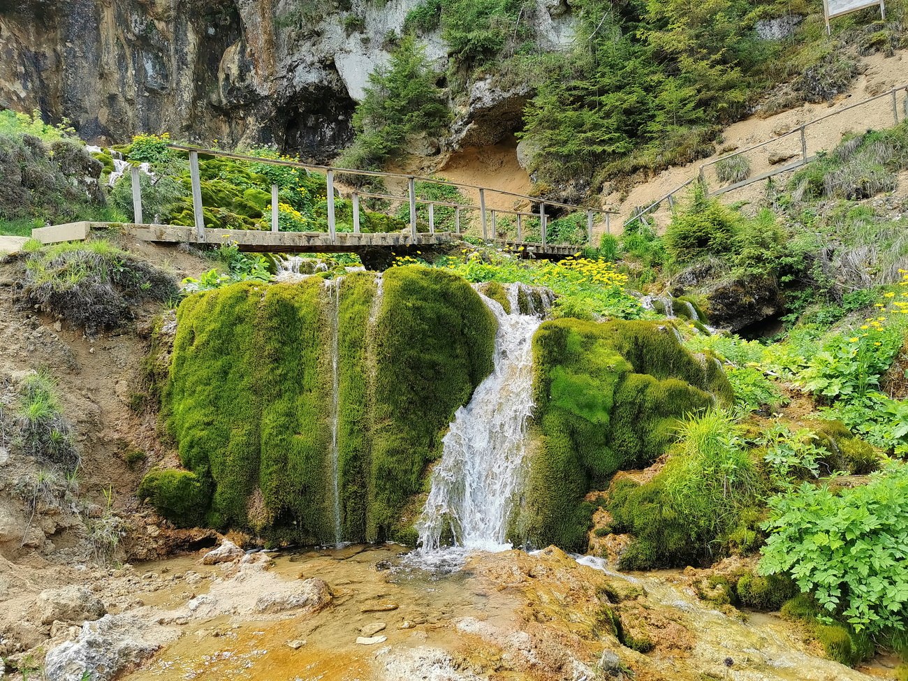 Cascada din România care i-a cucerit pe turiști. Se ascunde într-o pădure de fag și este mai frumoasă decât Cascada Bigăr. VIDEO