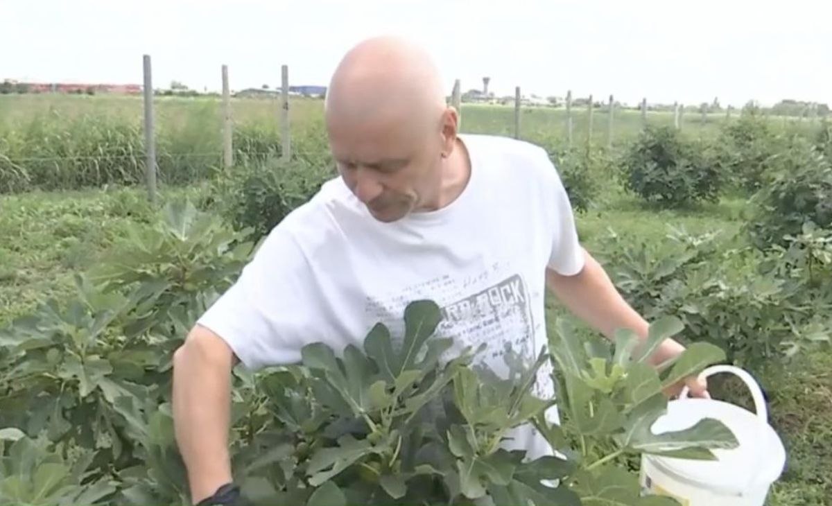 Afacerea inedită cu care a dat lovitura un român. „Este foarte simplu dacă știi cum” Afacerea inedită cu care a dat lovitura un român. „Este foarte simplu dacă știi cum”