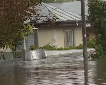 „Mi-e frică, nu sunt pregătită”. Un ciclon puternic va mătura țara de la vest la est, cinci județe ar putea fi înghițite de ape „Mi-e frică, nu sunt pregătită”. Un ciclon puternic va mătura țara de la vest la est, cinci județe ar putea fi înghițite de ape