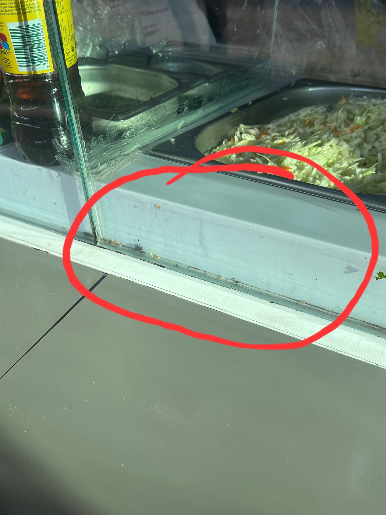 Ți se întoarce stomacul pe dos! Muşte şi gândaci morți, în mancarea de la shaormeria Turkish Doner Grill din centru. OPC Prahova?