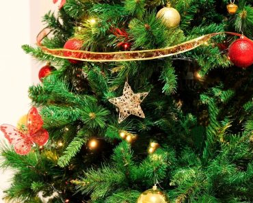 Când se împodobește bradul de Crăciun. În ce loc trebuie să-l pui pentru a atrage banii, dragostea, norocul și sănătatea în anul care vine
