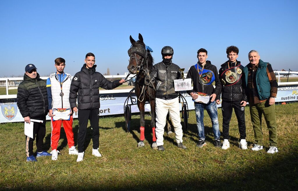 Armăsarul si boxerii