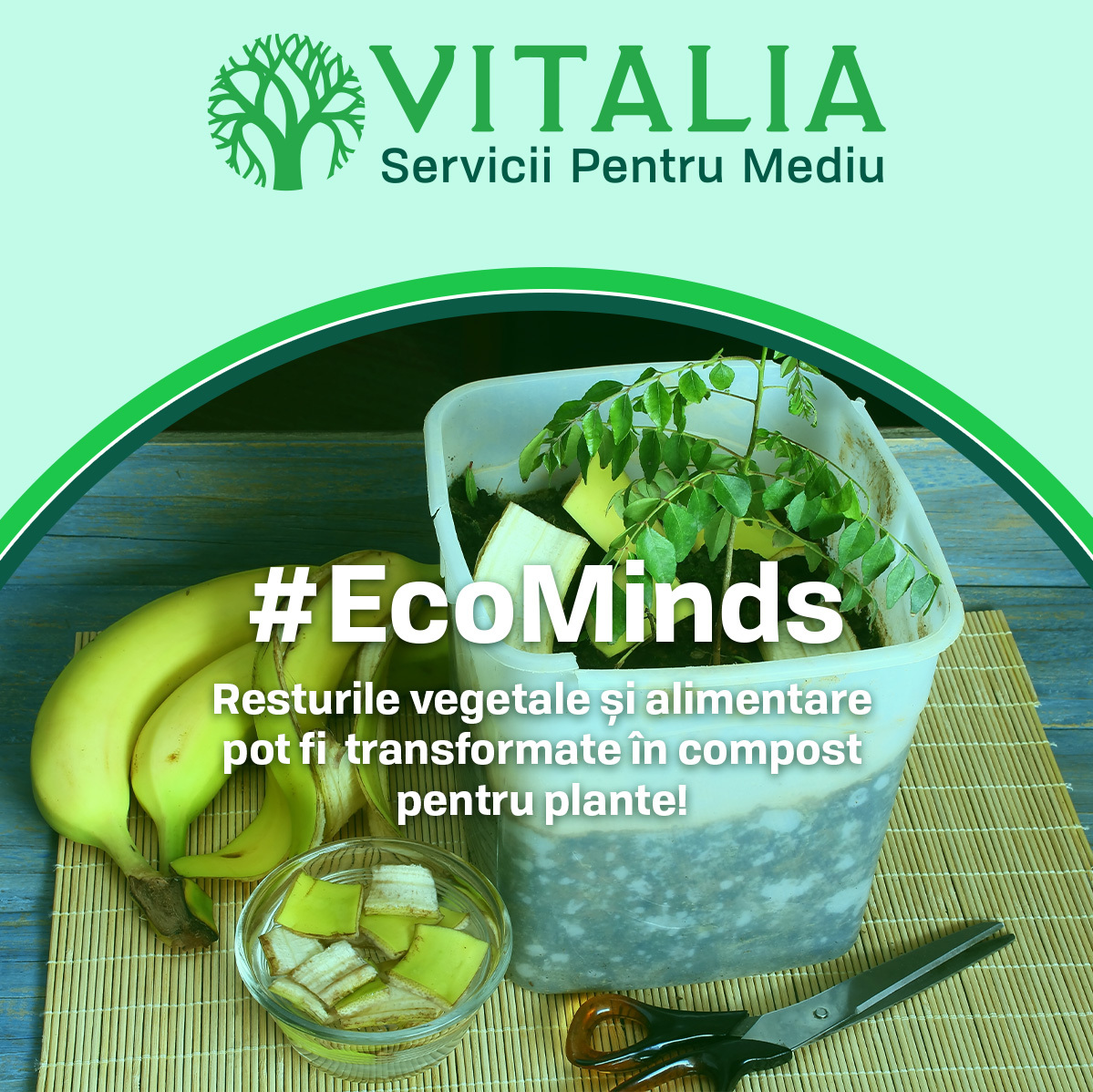 Vitalia: Săptămâna Europeană a Reducerii Deșeurilor (18-26 noiembrie) ne amintește că schimbările mici pot avea un impact uriaș asupra mediului!