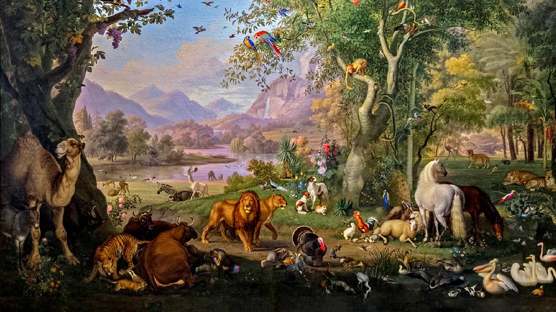 Top 5 cele mai longevive animale de pe Pământ. Specia care poate trăi până la 4000 de ani Top 5 cele mai longevive animale de pe Pământ. Specia care poate trăi până la 4000 de ani