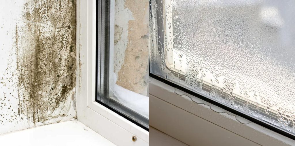 Descoperă trucul simplu pentru a elimina umiditatea din casă cu doar două ingrediente!