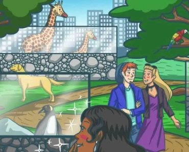 Test de inteligență pentru minți sclipitoare. Ai la dispoziție doar 5 secunde pentru a găsi pisica din imagine Test de inteligență pentru minți sclipitoare. Ai la dispoziție doar 5 secunde pentru a găsi pisica din imagine