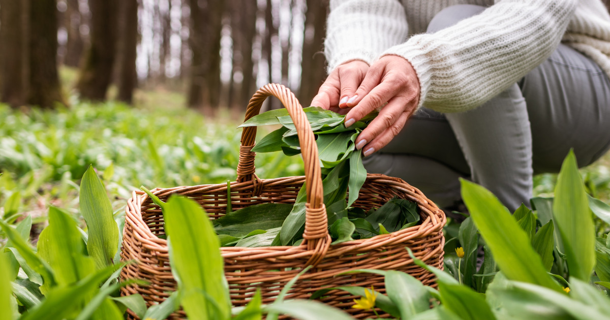 Alimentul care reduce inflamația de la nivelul intestinelor. Nutriționist: Are proprietăți antioxidante și combate și stresul oxidativ