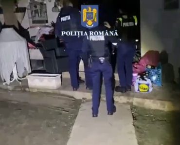 Percheziții la Câmpina. O persoană a fost ridicată pe polițiști