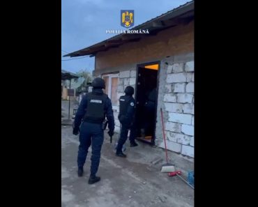 VIDEO: Percheziții în Prahova. Furt de 100.000 de euro dintr-un depozit