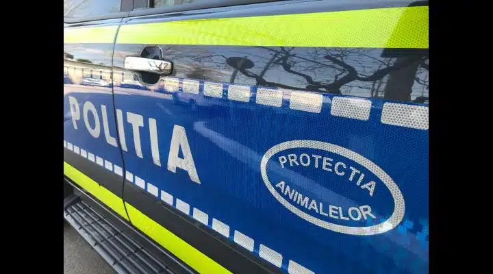 Ploieștean reținut de polițiști după ce a omorât un câine