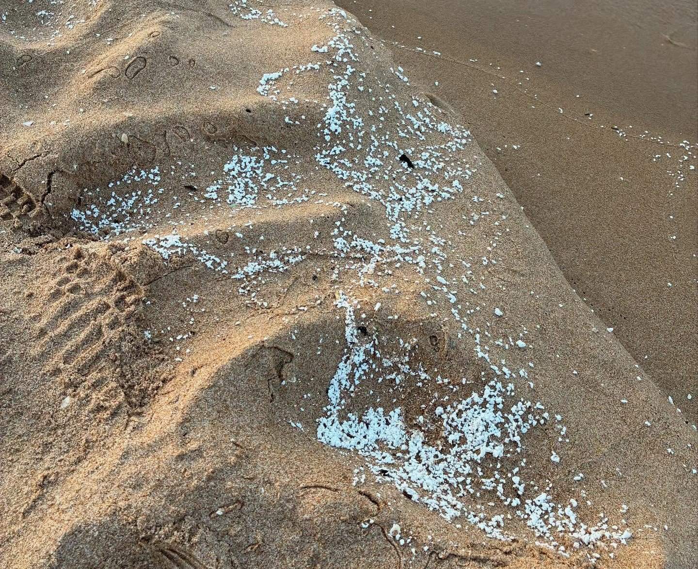 Panică în destinația turistică preferată a românilor! Șase plaje au fost închise de urgență. Ce s-a descoperit | FOTO