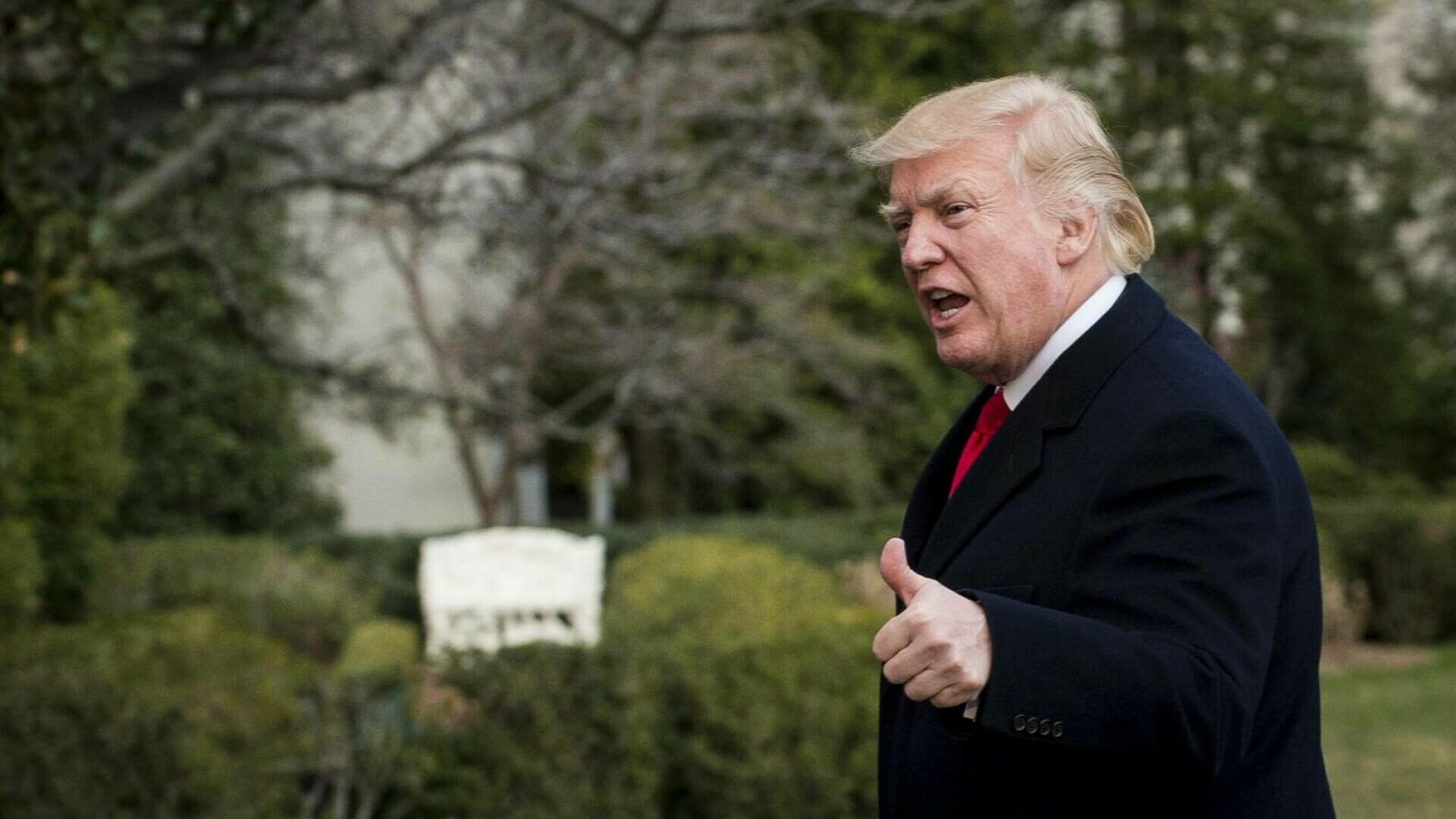 Trump a cumpărat un bloc de lux în Pipera. Un singur apartament costă și peste 600.000 de euro. Cine va locui aici