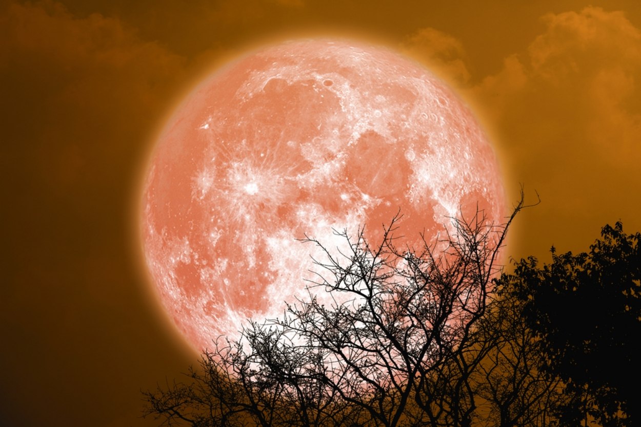 De ce este specială Luna Plină din 10 iulie, numită și „Luna Cerbului”. Ce este bine să faci în această perioadă
