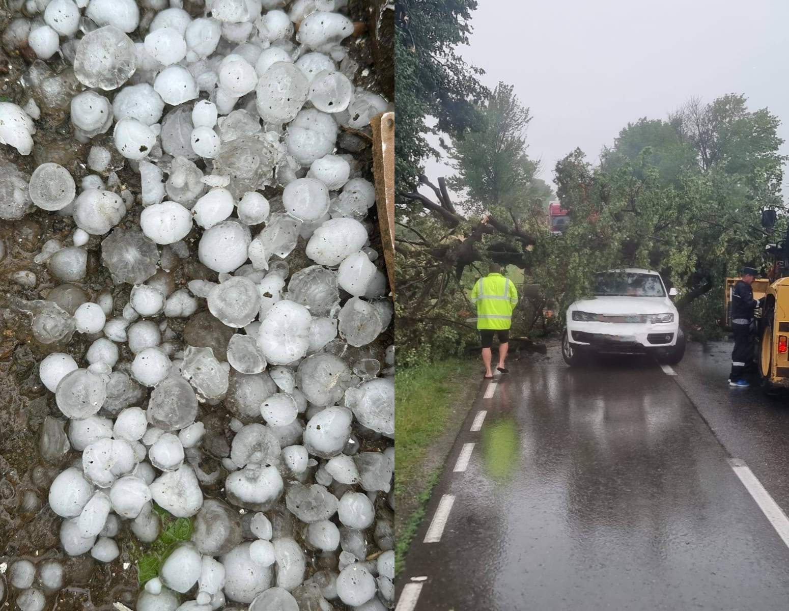 Fenomenele extreme au făcut prăpăd în România! Grindină cât un bulgăre de zăpadă, copaci căzuți și furtuni puternice. Hidrologii au emis cod galben de inundații