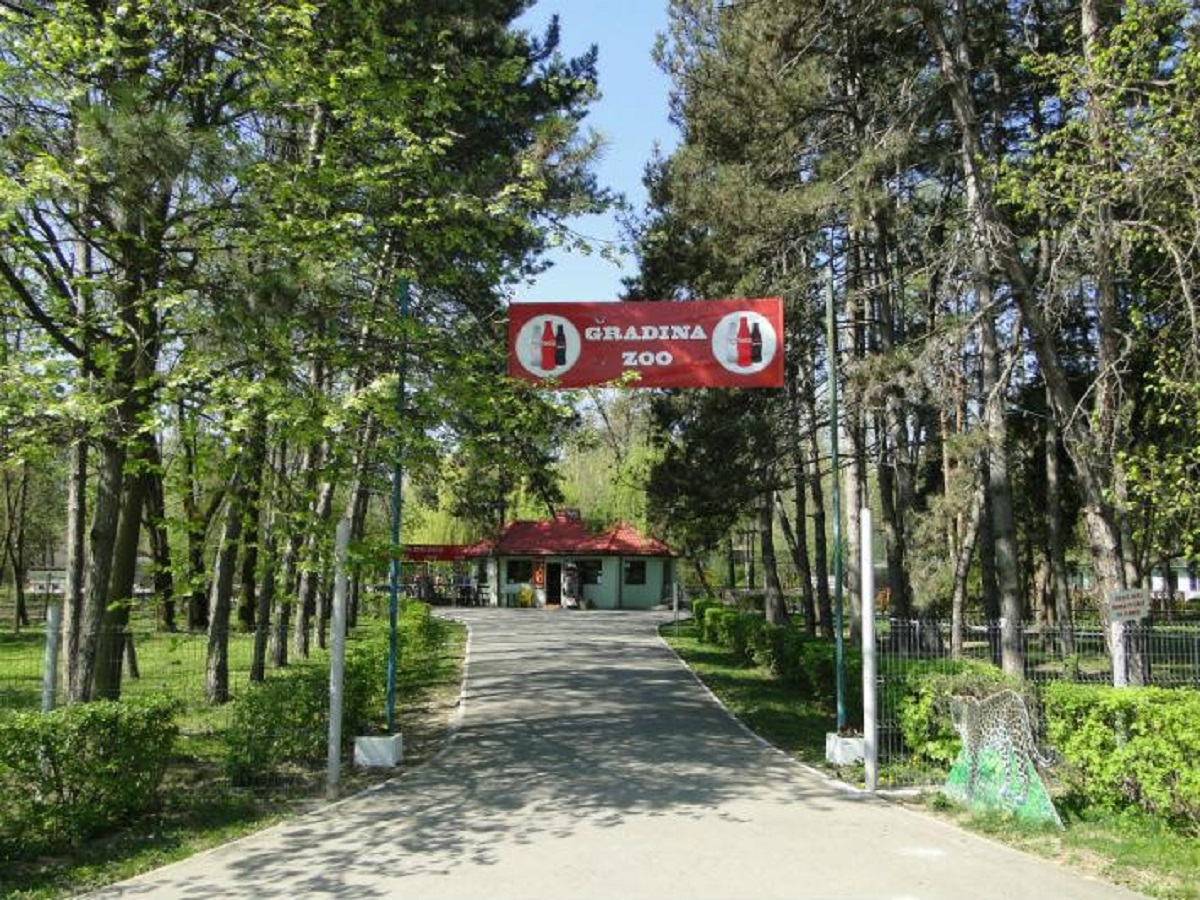 Primaria Ploiesti intentioneaza sa majoreze tarifele pentru parcarea in Parcul Bucov, intrarea la Zoo si capturarea cainilor comunitari Primaria Ploiesti intentioneaza sa majoreze tarifele pentru parcarea in Parcul Bucov, intrarea la Zoo si capturarea cainilor comunitari