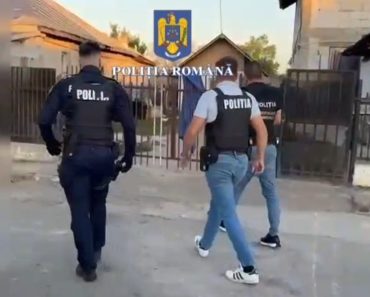 VIDEO: Percheziții în Boldești-Scăeni și în Lipănești. Suspecții ar fi comis mai multe spargeri