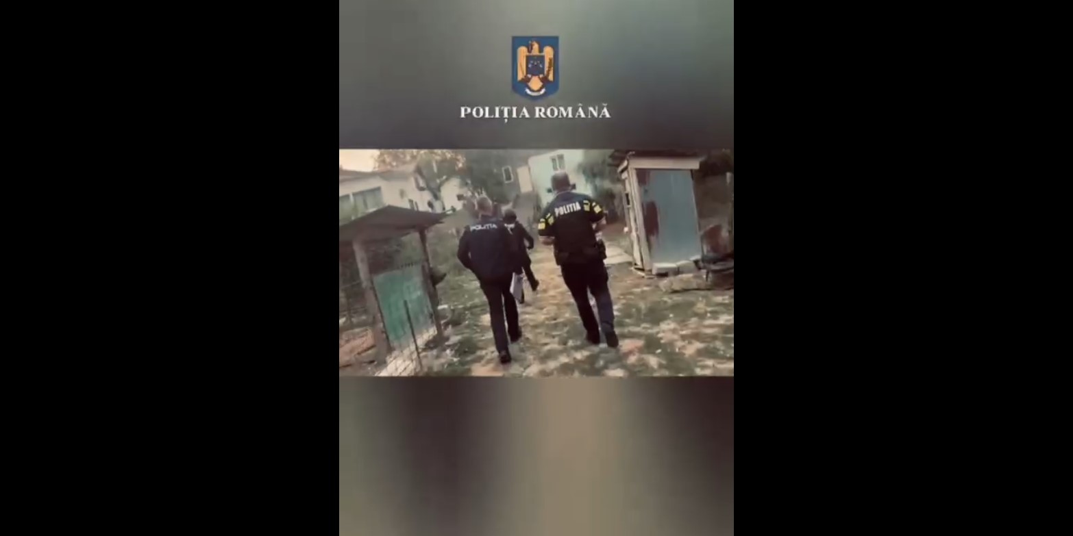 VIDEO: Percheziții la Șoimari, după o bătaie în magazin