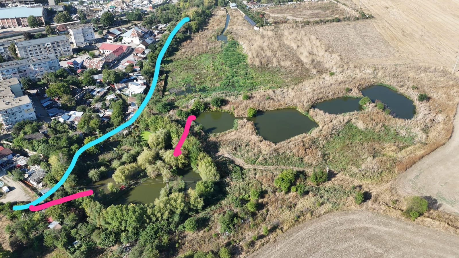 ALARMĂ ÎN PARCUL BUCOV! Lacul 1 aproape secat după ce cursul unui afluent al Teleajenului a fost DETURNAT ILEGAL! Controale ample și dosar penal! ALARMĂ ÎN PARCUL BUCOV! Lacul 1 aproape secat după ce cursul unui afluent al Teleajenului a fost DETURNAT ILEGAL! Controale ample și dosar penal!