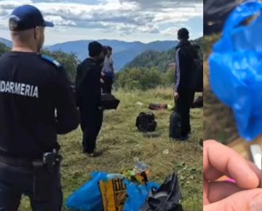 Cum au „stricat” jandarmii un picnic la Sinaia: Campare ilegală și „iarbă” în buzunare
