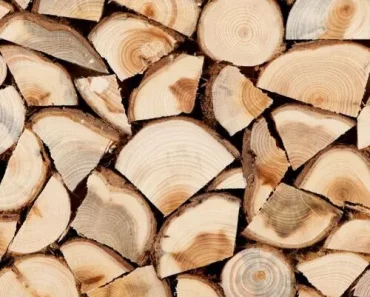 Primăria Slănic asigura lemne pentru încălzirea sediilor grădinițelor