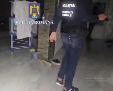 VIDEO: Percheziții într-un dosar de braconaj: Suspecții aveau frigiderele pline cu vânat și foloseau camere cu termoviziune