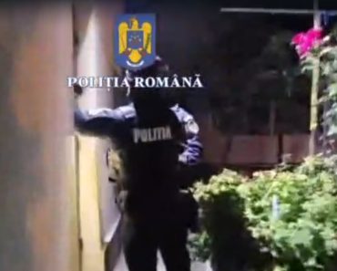 Percheziții în Câmpina. Cum au fost păcăliți reprezentanții unei firme să livreze marfă de peste 20 de mii de euro