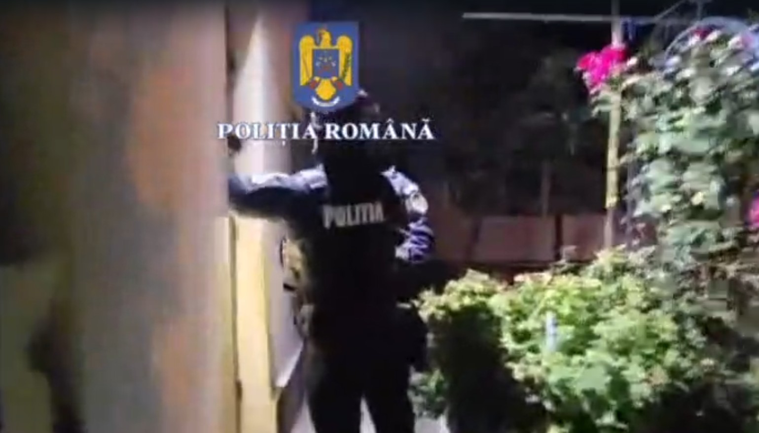 Percheziții în Câmpina. Cum au fost păcăliți reprezentanții unei firme să livreze marfă de peste 20 de mii de euro