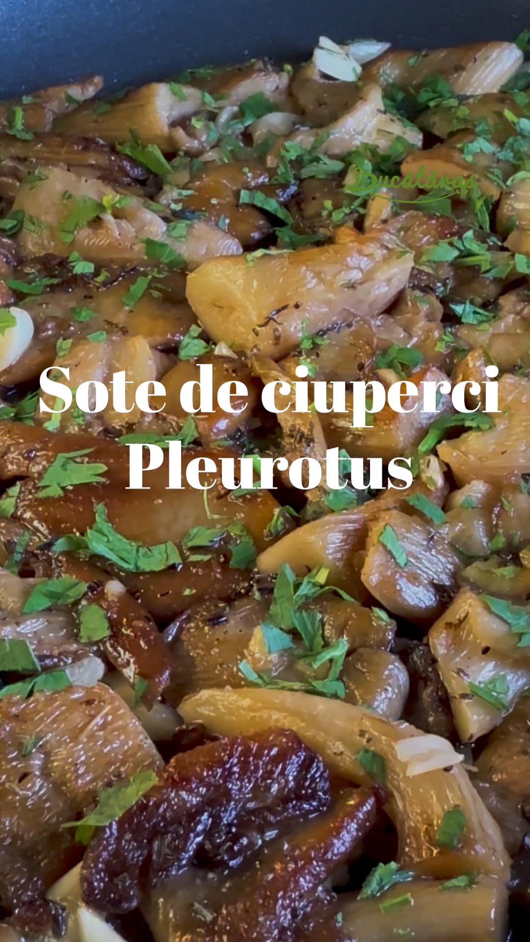 Sote de ciuperci pleurotus – Rețeta simplă și savuroasă Sote de ciuperci pleurotus – Rețeta simplă și savuroasă