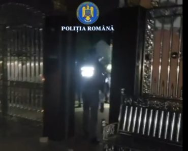 VIDEO: Prahovean ridicat de mascați. Organiza tombole ilegale cu mașini și bani