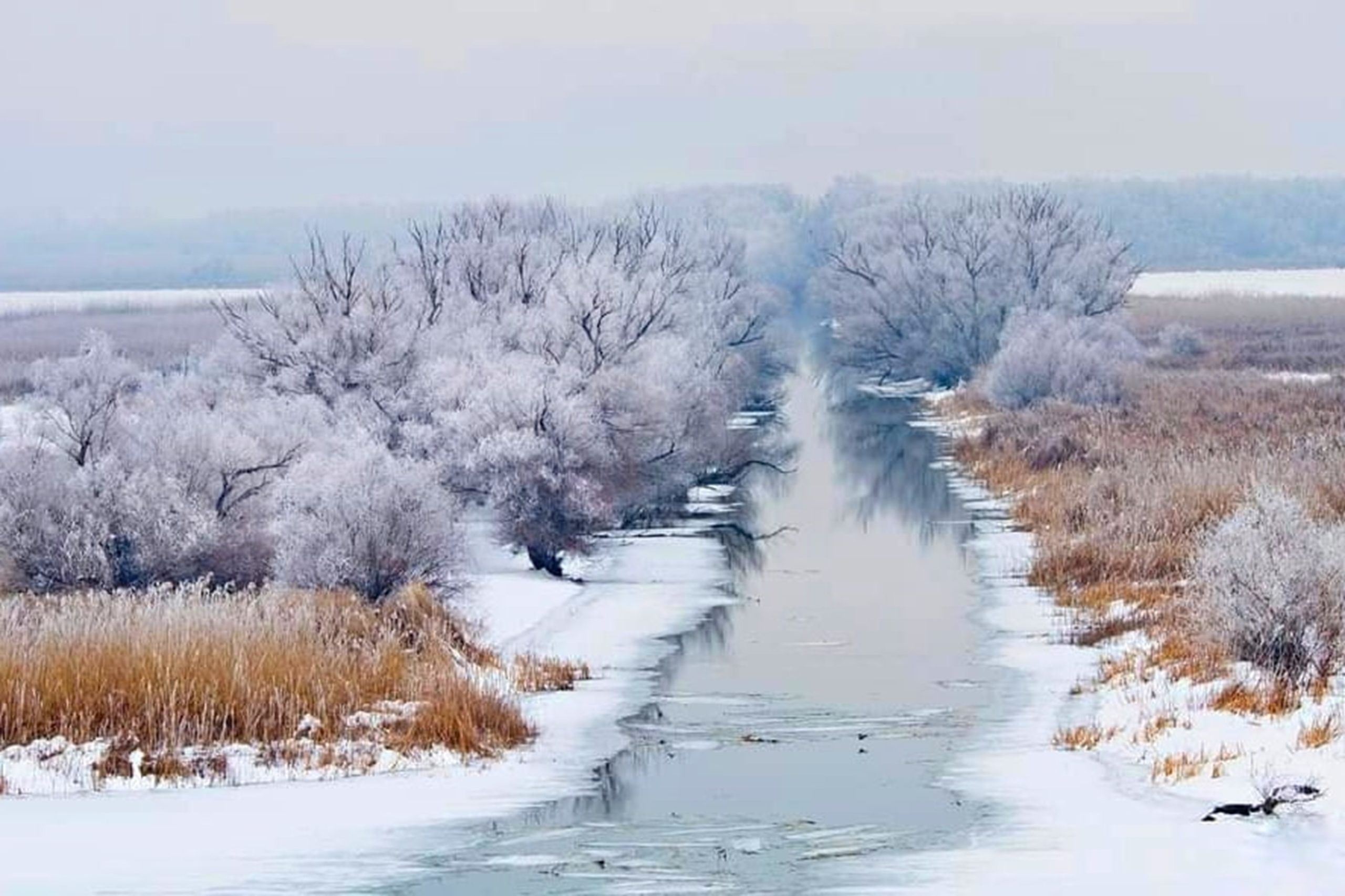Cât costă Revelionul 2026 în Delta Dunării, la Băile Felix sau pe Valea Prahovei
