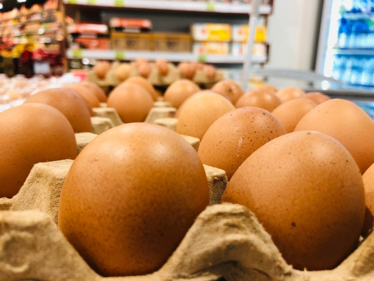 Cât a ajuns să coste un cofraj cu ouă în supermarket. Românii sunt indignați: „Ce e în neregulă cu țara asta?” Cât a ajuns să coste un cofraj cu ouă în supermarket. Românii sunt indignați: „Ce e în neregulă cu țara asta?”