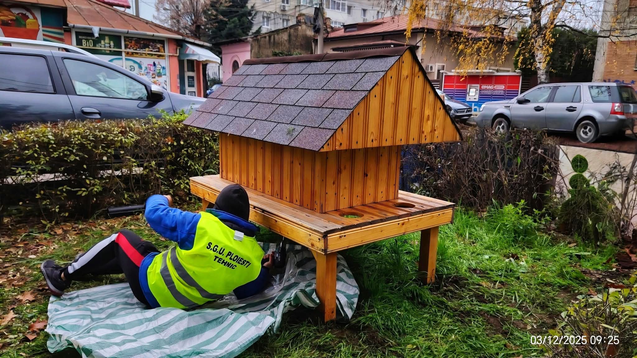 Prima căsuță pentru pisicile maidaneze a fost montată astăzi în Ploiești de echipele SGU