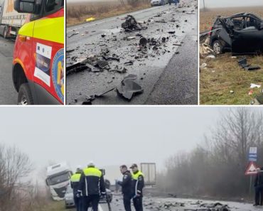 Răsturnare de situație în cazul accidentului soldat cu 7 morți, din Timiș. Ce arată analizele de sânge ale șoferului (Surse)