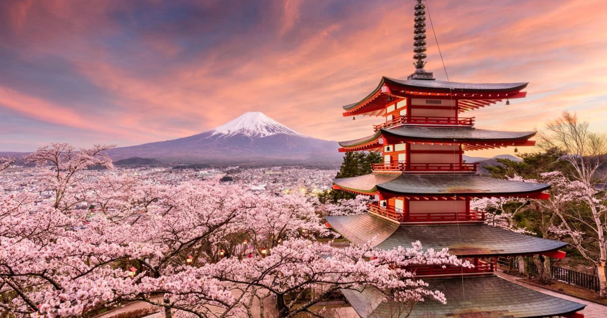 Festivalul cireșilor înfloriți din Japonia, anulat din cauza comportamentului turiștilor: care sunt problemele menționate de autorități