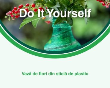 Vitalia Mediu: FLORI ÎN VAZE UNICE!