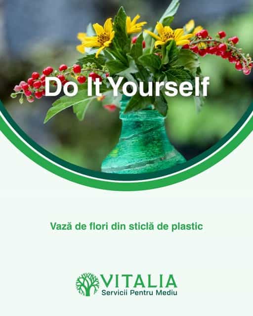 Vitalia Mediu: FLORI ÎN VAZE UNICE!