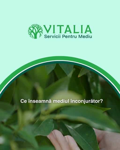 Vitalia Mediu: Te-ai întrebat vreodată ce înseamnă de fapt „mediul înconjurător”?