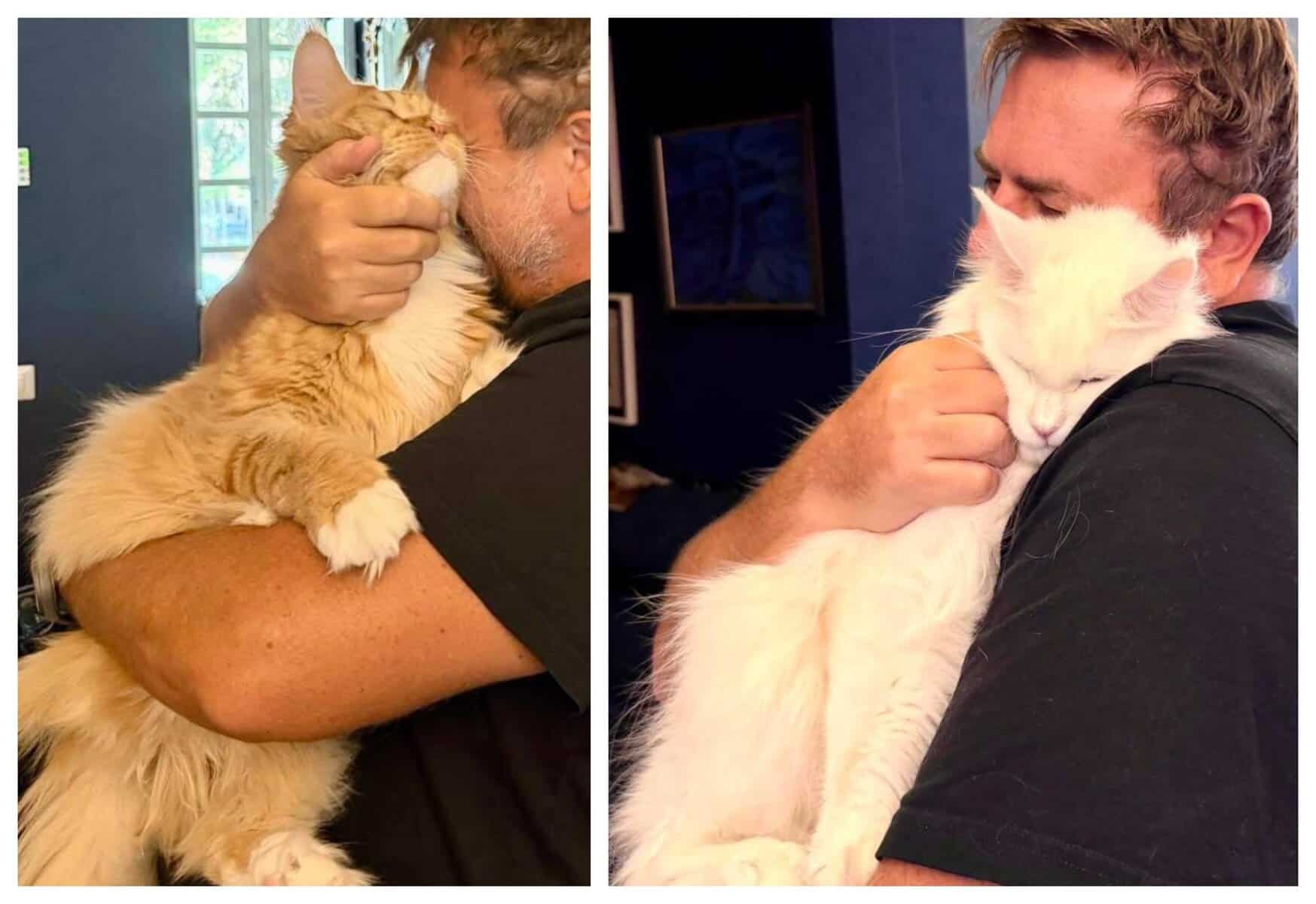 Horia Brenciu s-a întors singur în România. Ce se întâmplă cu familia artistului: „Voi face tot posibilul să găsesc biletele de avion”