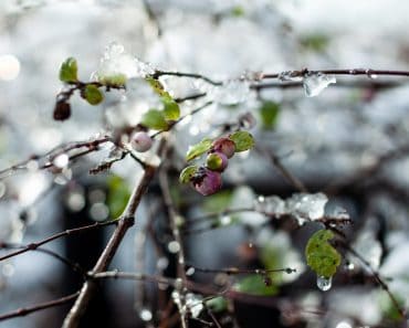 Un val de aer polar va ajunge în România. De când va începe să se răcească vremea