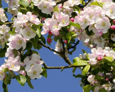 Cum va fi vremea de Paște. ANM a publicat prognoza meteo pe regiuni