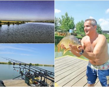 Câți bani plătești, în 2026, ca să dormi și să dai la pește în complexul lui Dan Bittman de la Holograf? La ce a scăzut prețurile. Părerea turiștilor: „Te simți ca acasă” Câți bani plătești, în 2026, ca să dormi și să dai la pește în complexul lui Dan Bittman de la Holograf? La ce a scăzut prețurile. Părerea turiștilor: „Te simți ca acasă”