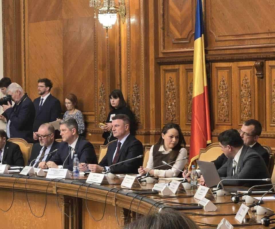 Mircea Roșca: investițiile și disciplina bugetară, esențiale pentru viitorul României